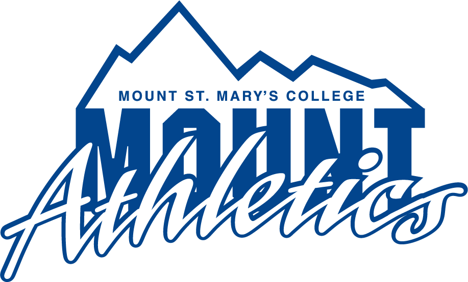 Mount St. Marys Mountaineers 1990-1996 Primary Logo iron on transfers for clothing